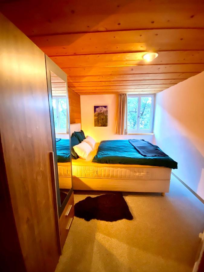 Appartement Aareschlucht- Grandiose Aussicht Fuer 2-6 Pers. Майрінґен Екстер'єр фото