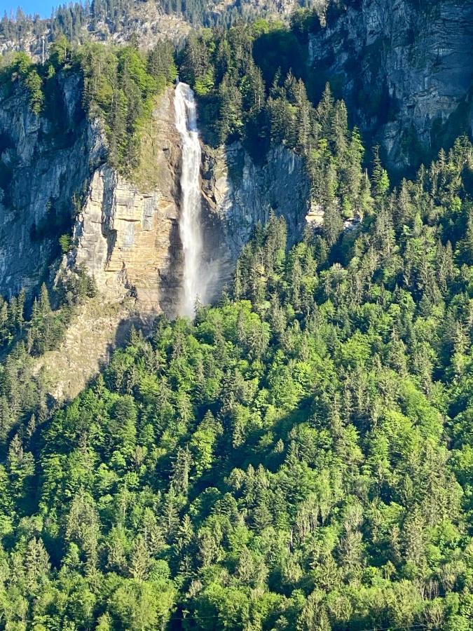 Appartement Aareschlucht- Grandiose Aussicht Fuer 2-6 Pers. Майрінґен Екстер'єр фото